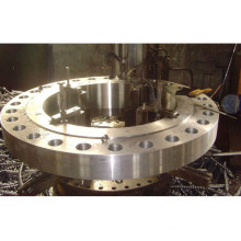 Standard Large Diameter Flange (S0032)